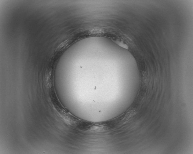 X0000064040364200602171650