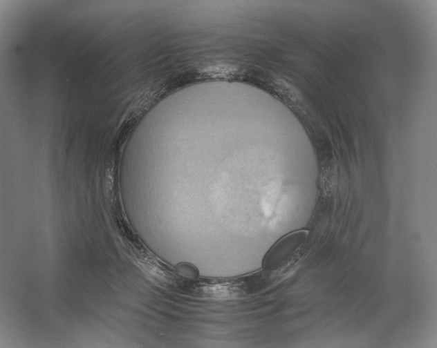 X0000064040365200602171650