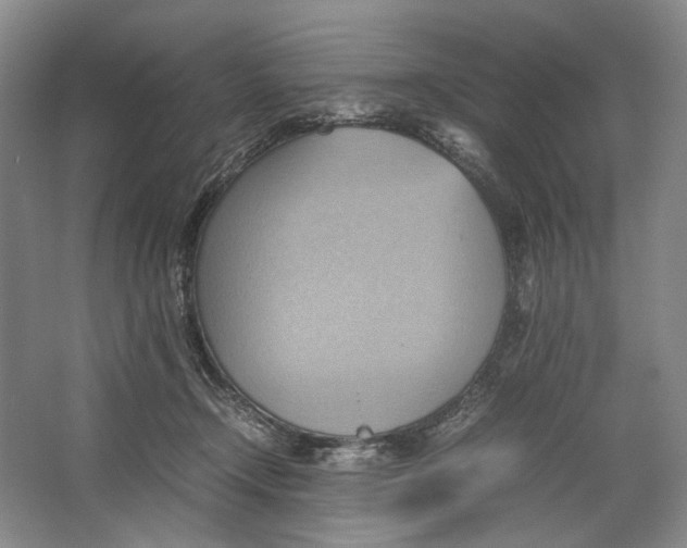 X0000064040366200602171650