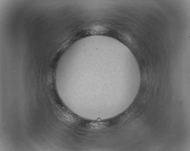 X0000064040367200602171650