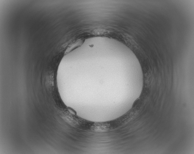 X0000064040368200602171650