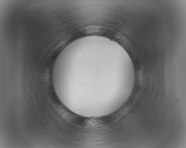 X0000064040372200602171650