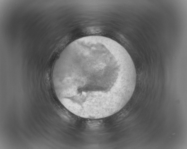 X0000064040373200602171650