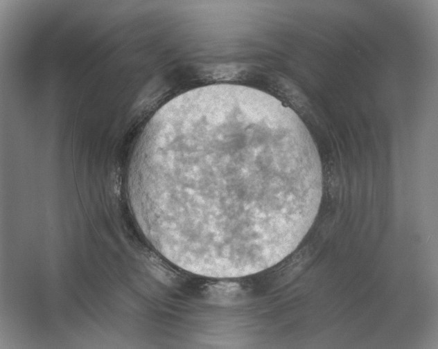 X0000064040374200602171650