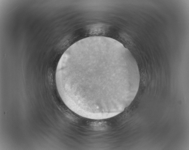 X0000064040375200602171650