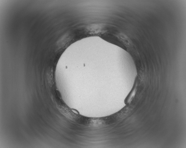 X0000064040376200602171650