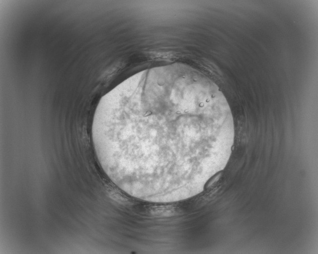 X0000064040377200602171650