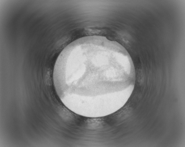 X0000064040378200602171650