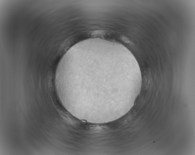 X0000064040379200602171650