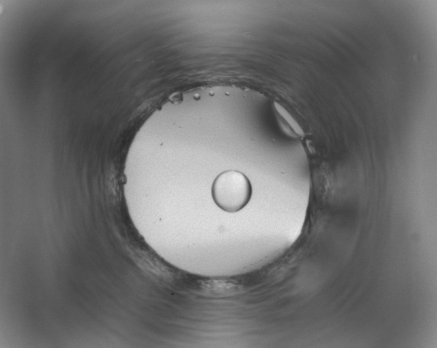 X0000064040380200602171650