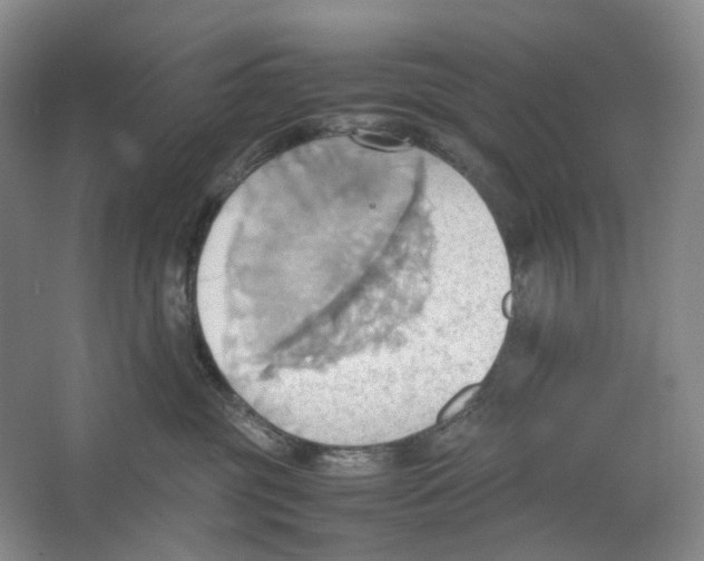 X0000064040381200602171651