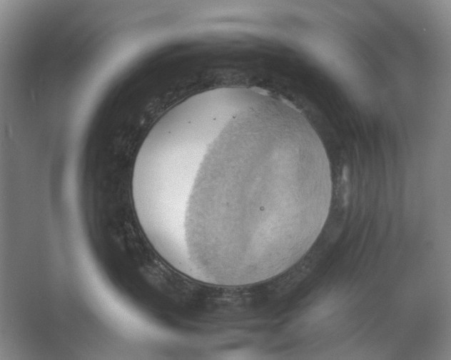 X0000064040383200602171651