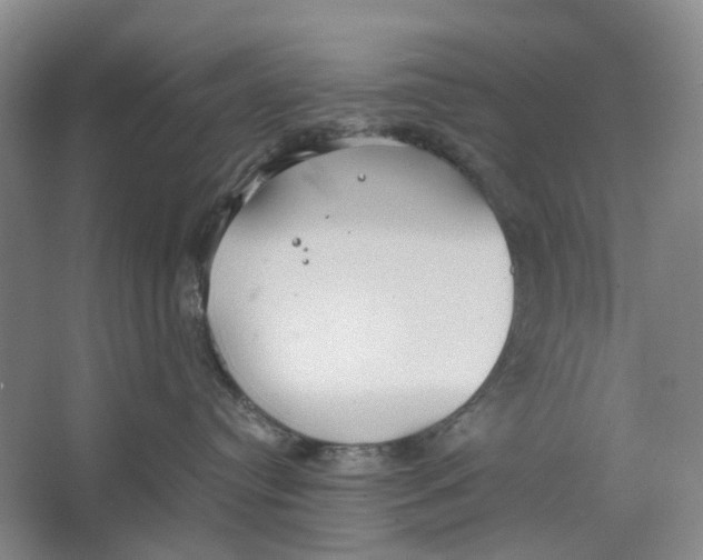 X0000064040384200602171651