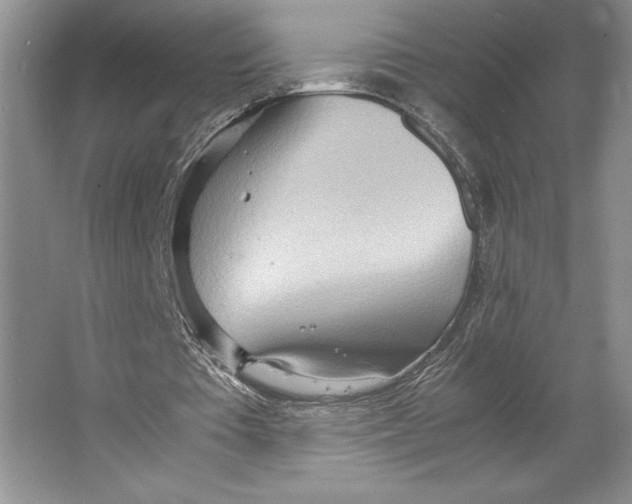 X0000064040385200602171650