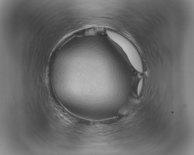 X0000064040387200602171650