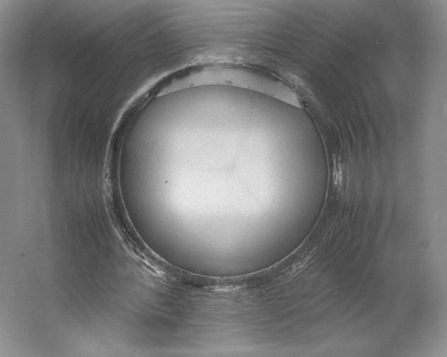 X0000064040388200602171650