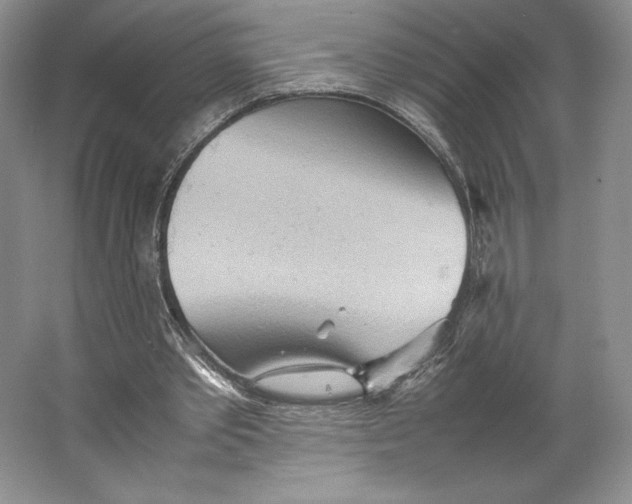 X0000064040389200602171650