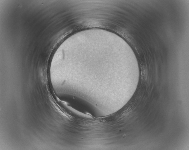 X0000064040390200602171650