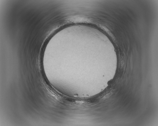 X0000064040391200602171650