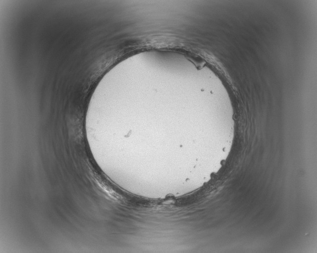 X0000064040393200602171650