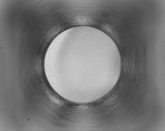 X0000064040394200602171650