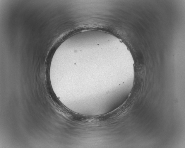 X0000064040395200602171650