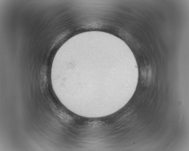 X0000064040396200602171650