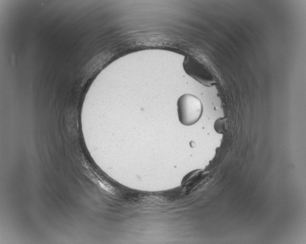 X0000064040397200602171650