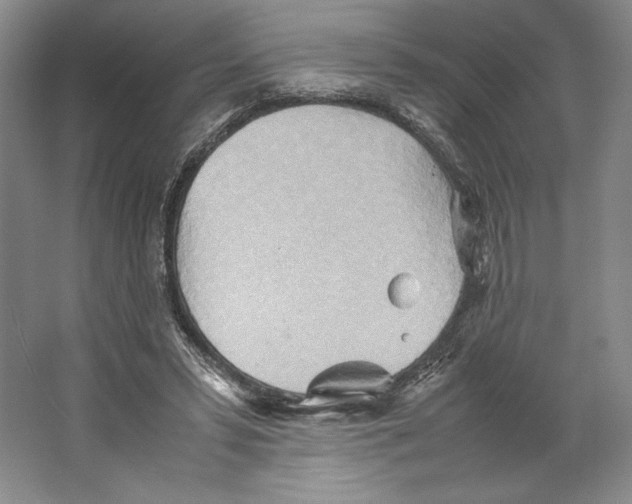 X0000064040399200602171650