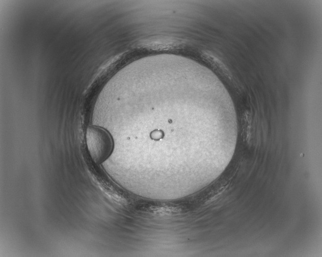 X0000064040400200602171649