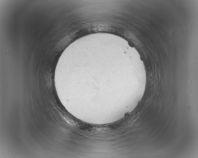 X0000064040401200602171649