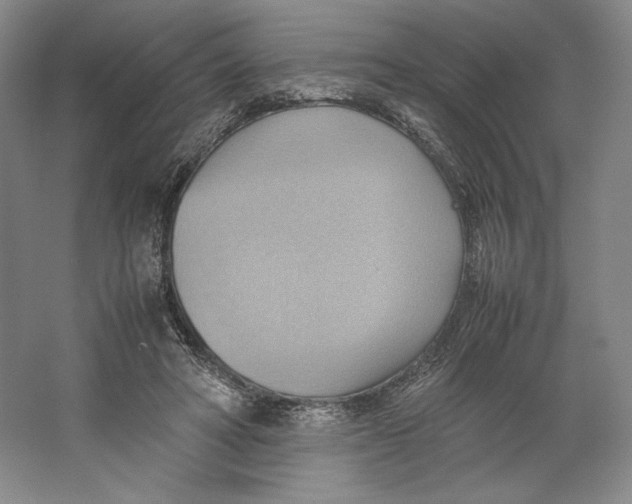 X0000064040402200602171649