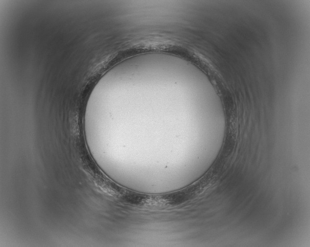 X0000064040403200602171649