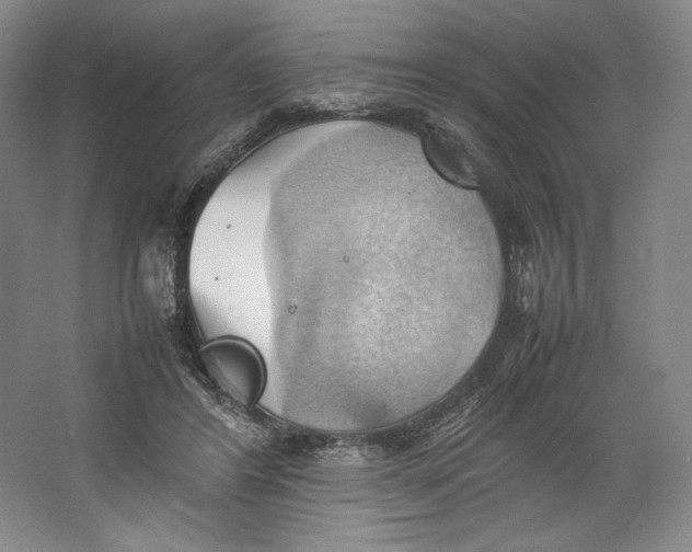 X0000064040404200602171649