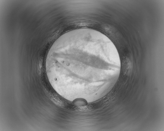 X0000064040406200602171649