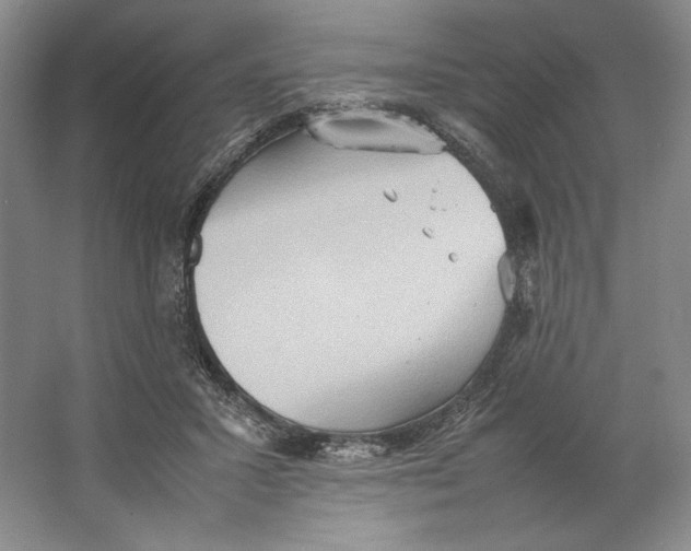 X0000064040407200602171649