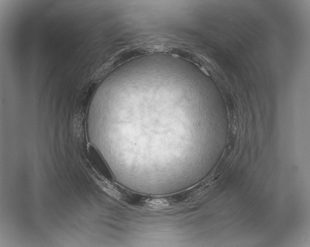 X0000064040409200602171649