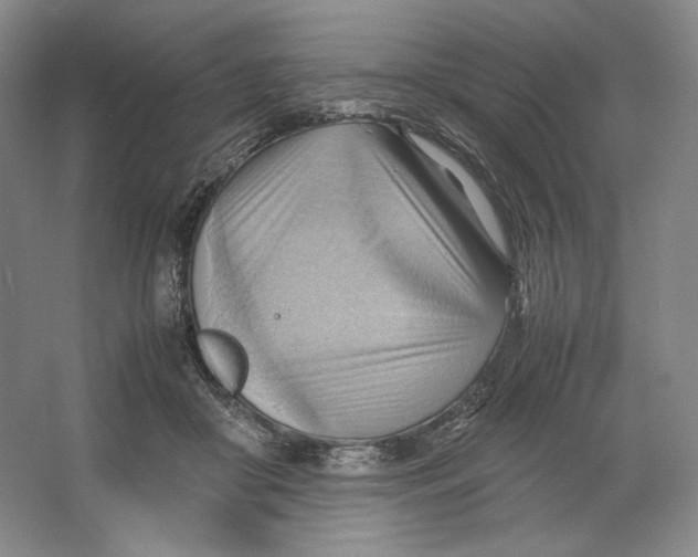 X0000064040410200602171649