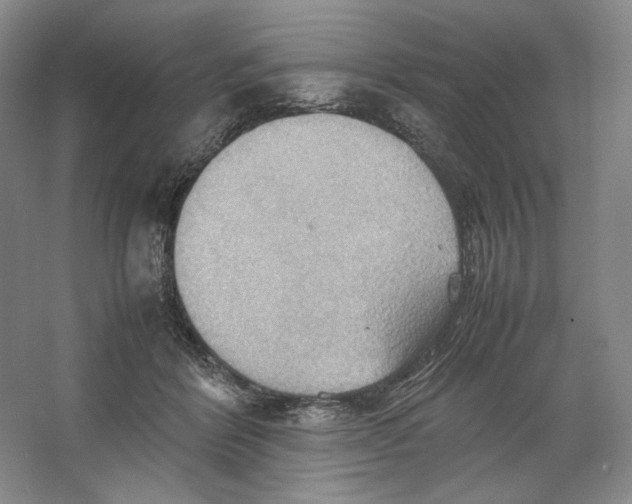 X0000064040412200602171649