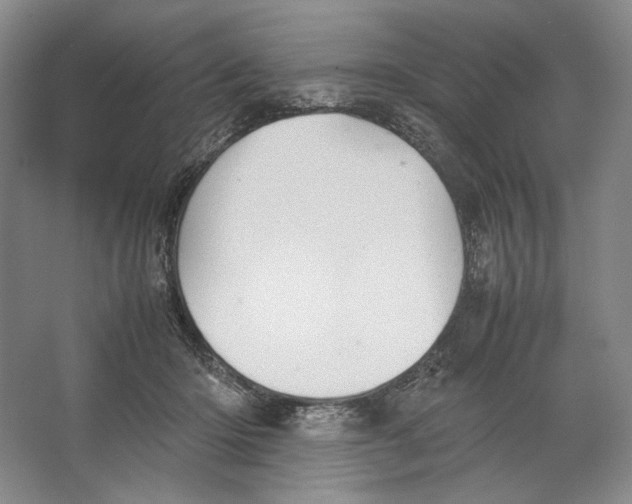 X0000064040414200602171649