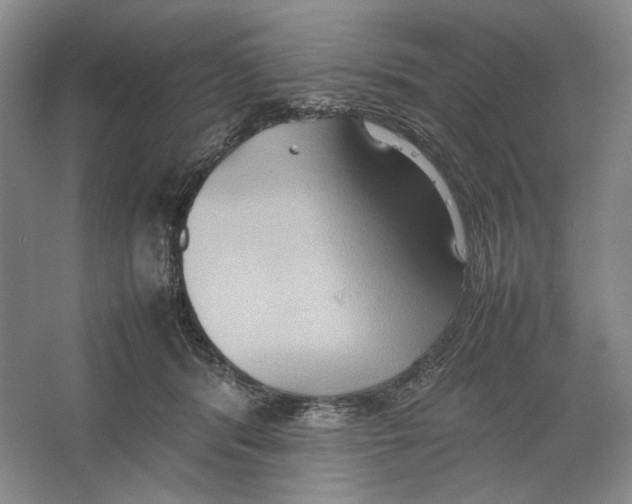 X0000064040416200602171649