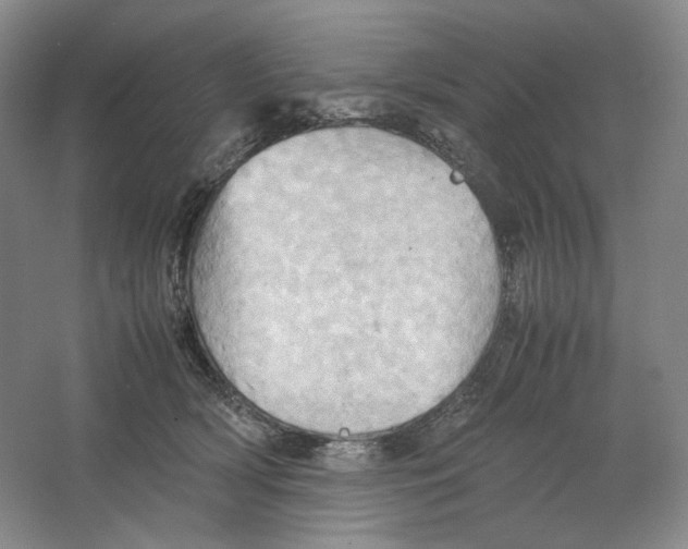 X0000064040418200602171649