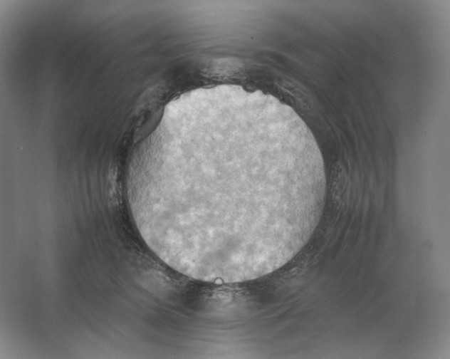 X0000064040420200602171649