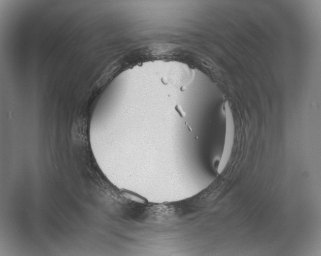 X0000064040421200602171649