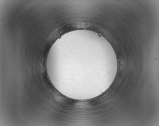 X0000064040422200602171649