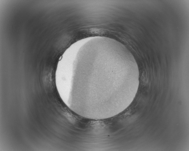 X0000064040424200602171649