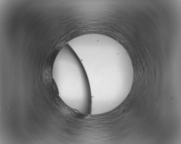 X0000064040425200602171649