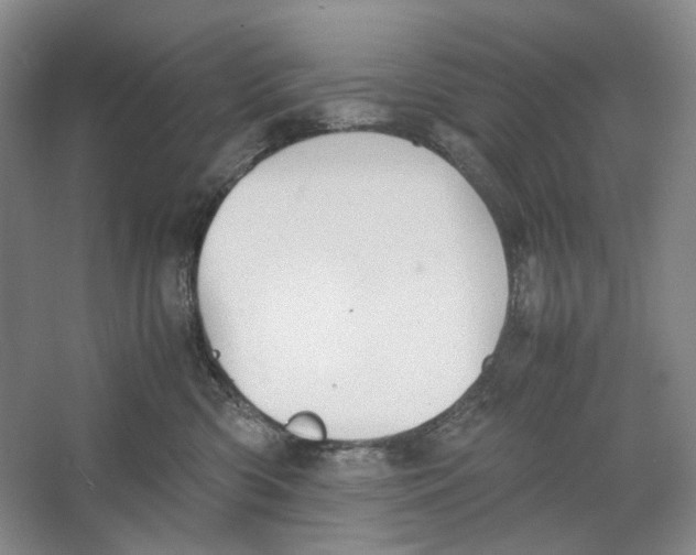 X0000064040426200602171649