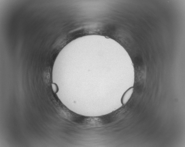 X0000064040427200602171649