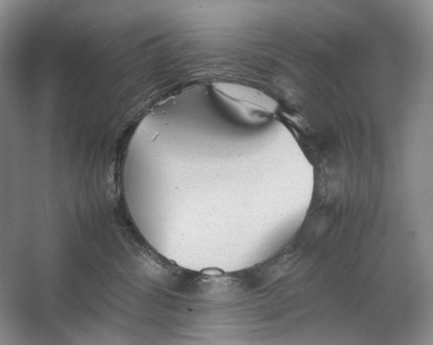 X0000064040428200602171649